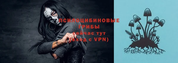 a pvp Заволжск