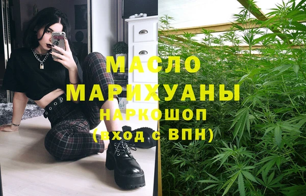 мдпв Заводоуковск