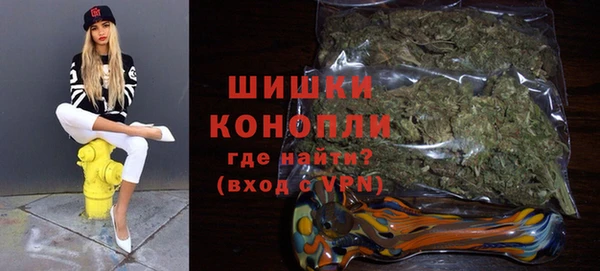 мдпв Заводоуковск