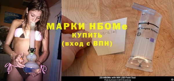 мдпв Заводоуковск