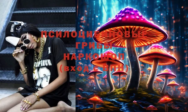 мдпв Заводоуковск